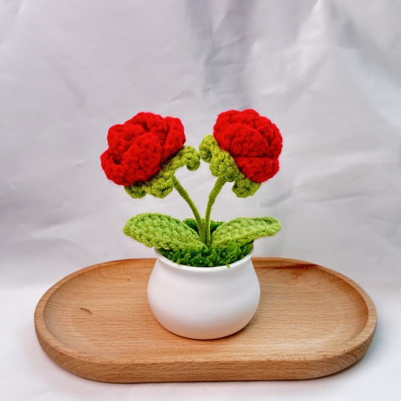 Plant Pots