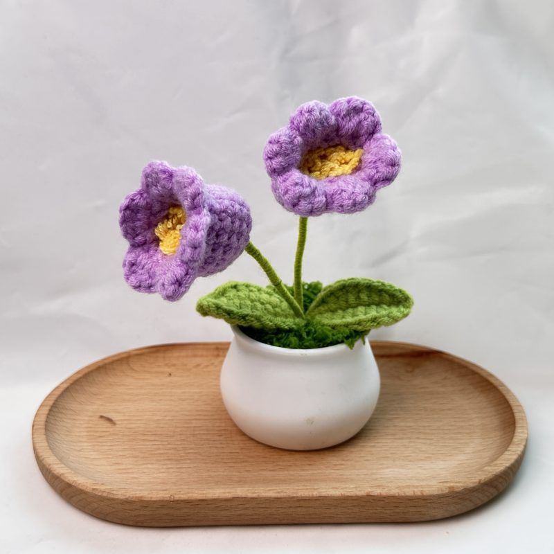 Plant Pots