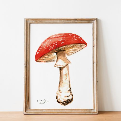Poisonous Mushroom Watercolour Prints