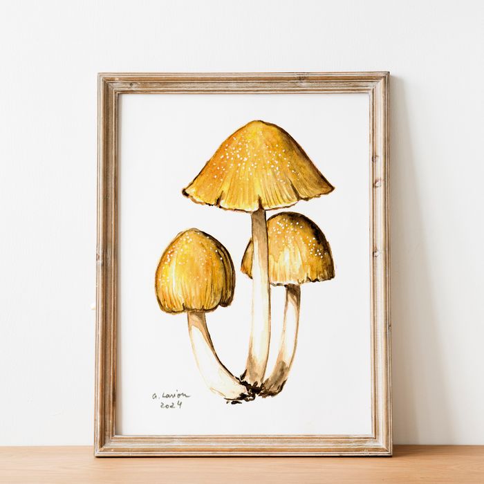 Poisonous Mushroom Watercolour Prints