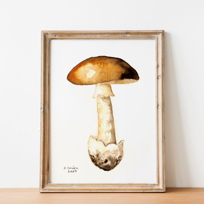 Poisonous Mushroom Watercolour Prints