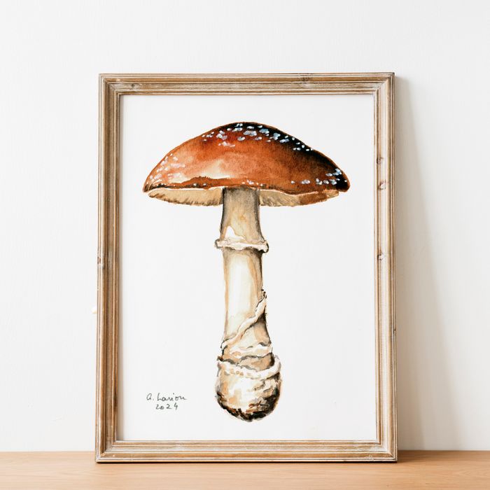 Poisonous Mushroom Watercolour Prints