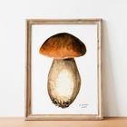 Edible Mushroom Watercolour Prints