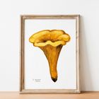 Edible Mushroom Watercolour Prints