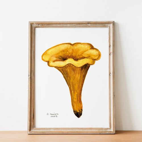 Edible Mushroom Watercolour Prints