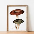 Edible Mushroom Watercolour Prints