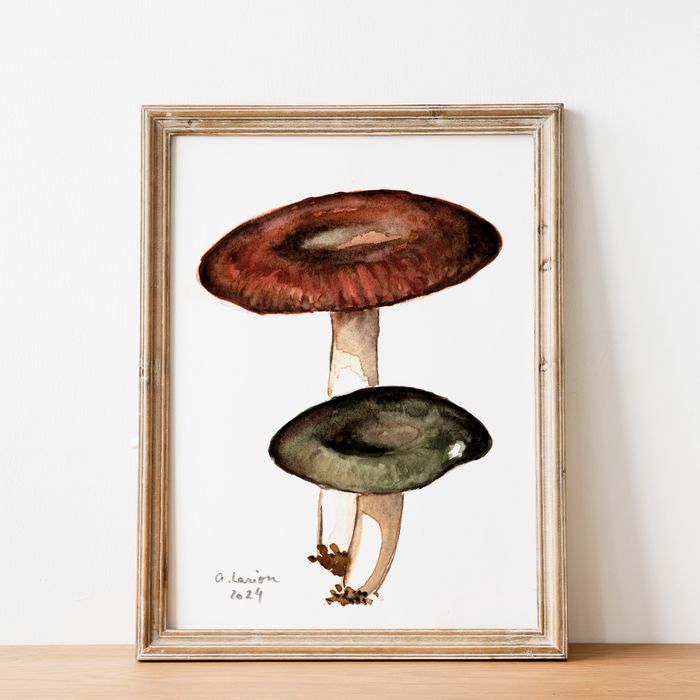 Edible Mushroom Watercolour Prints