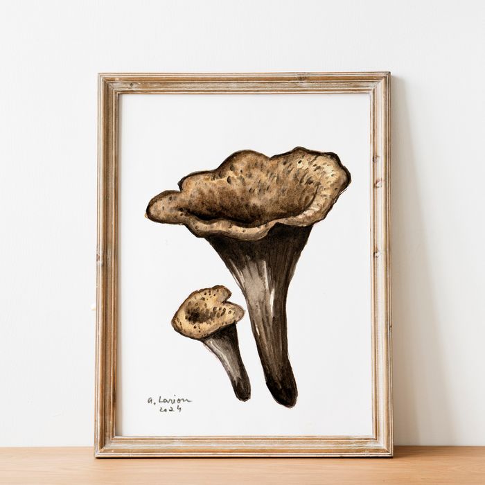 Edible Mushroom Watercolour Prints