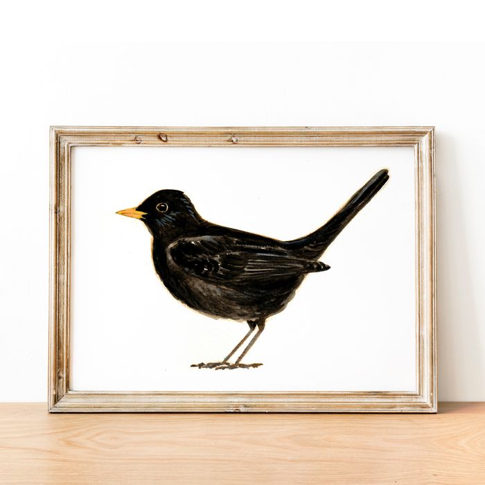 Bird Watercolour Prints - Horizontal