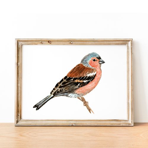 Bird Watercolour Prints - Horizontal