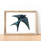 Bird Watercolour Prints - Horizontal