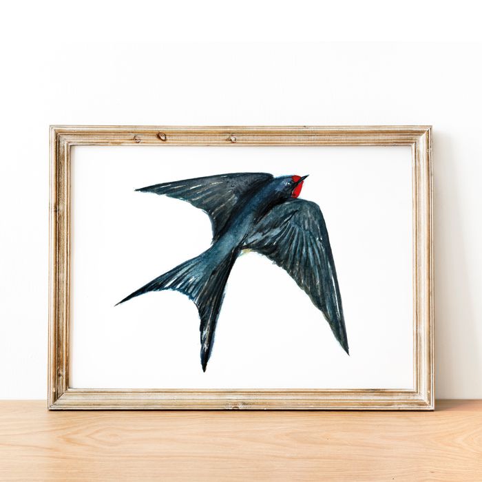 Bird Watercolour Prints - Horizontal