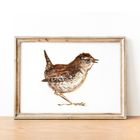 Bird Watercolour Prints - Horizontal