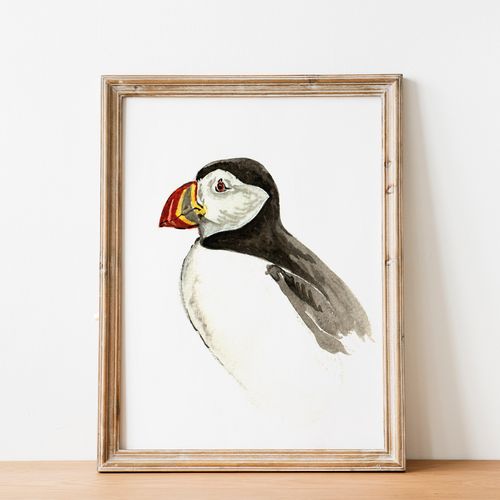 Bird Watercolour Prints - Vertical