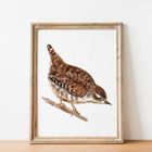 Bird Watercolour Prints - Vertical