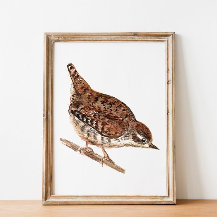 Bird Watercolour Prints - Vertical
