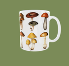 Mushrooms Mug
