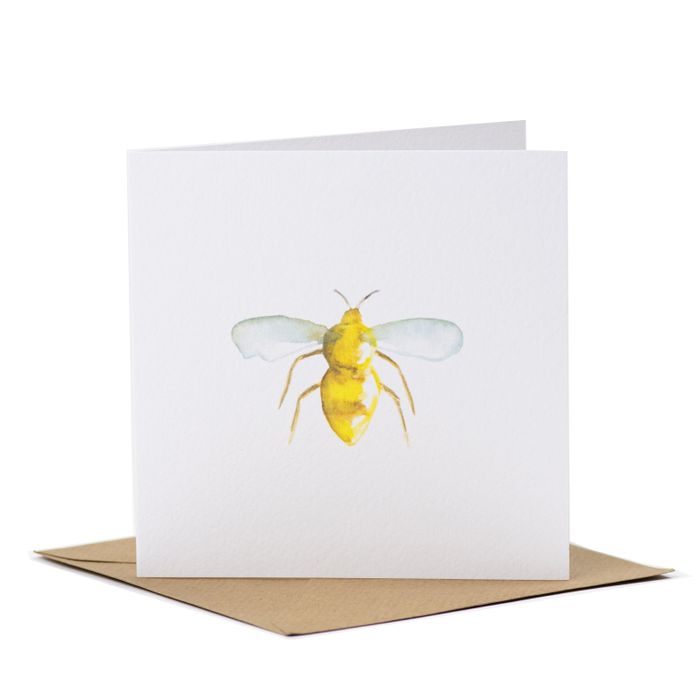 Notecards