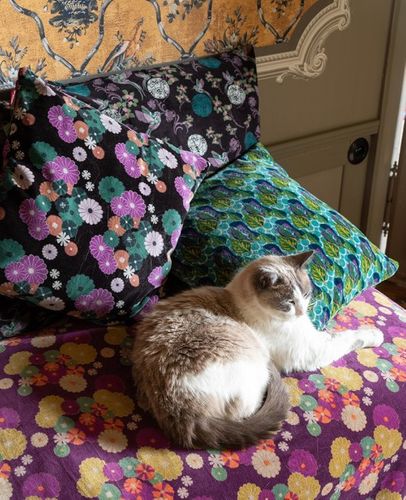 Velvet Cushions