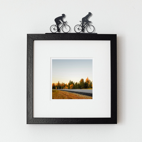 Road Cyclists (Female + Male)