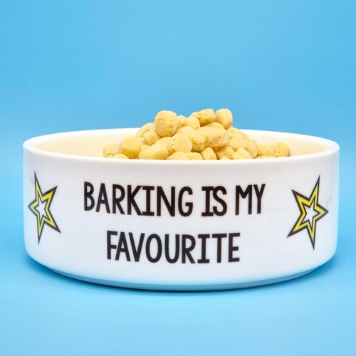 Ceramic Pet Bowls