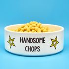 Ceramic Pet Bowls