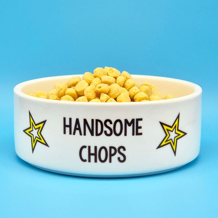 Ceramic Pet Bowls