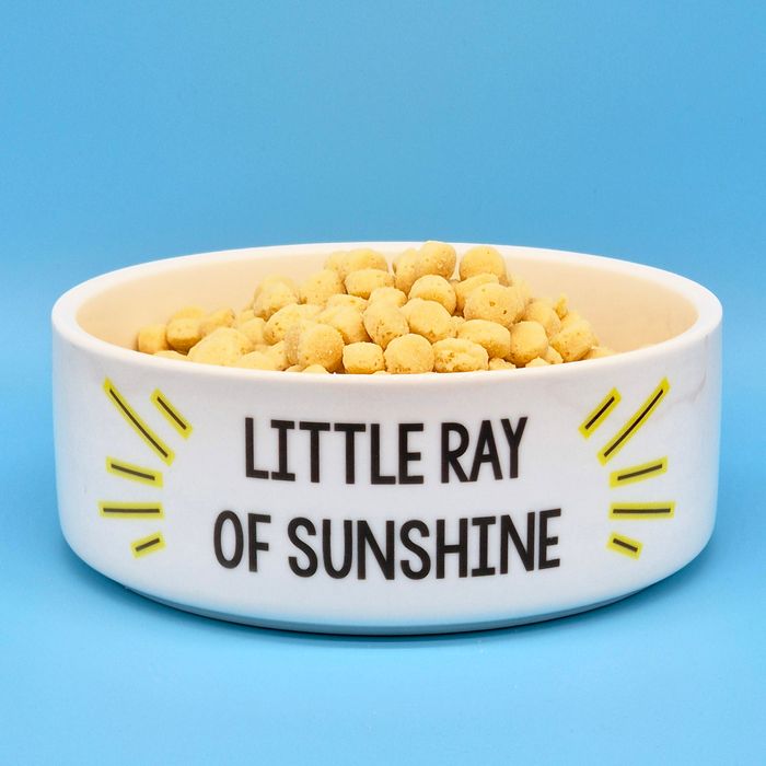 Ceramic Pet Bowls