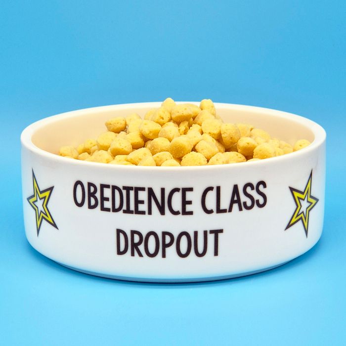 Ceramic Pet Bowls