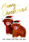 New Christmas Coo Cards