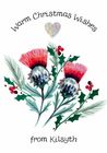 New Christmas Cards