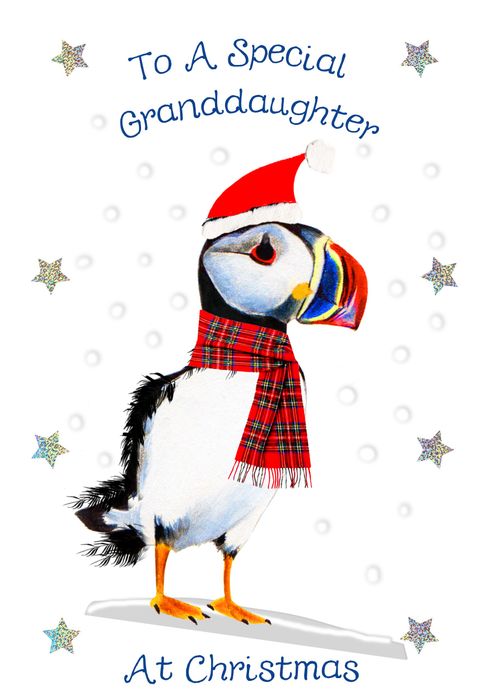 New Christmas Cards