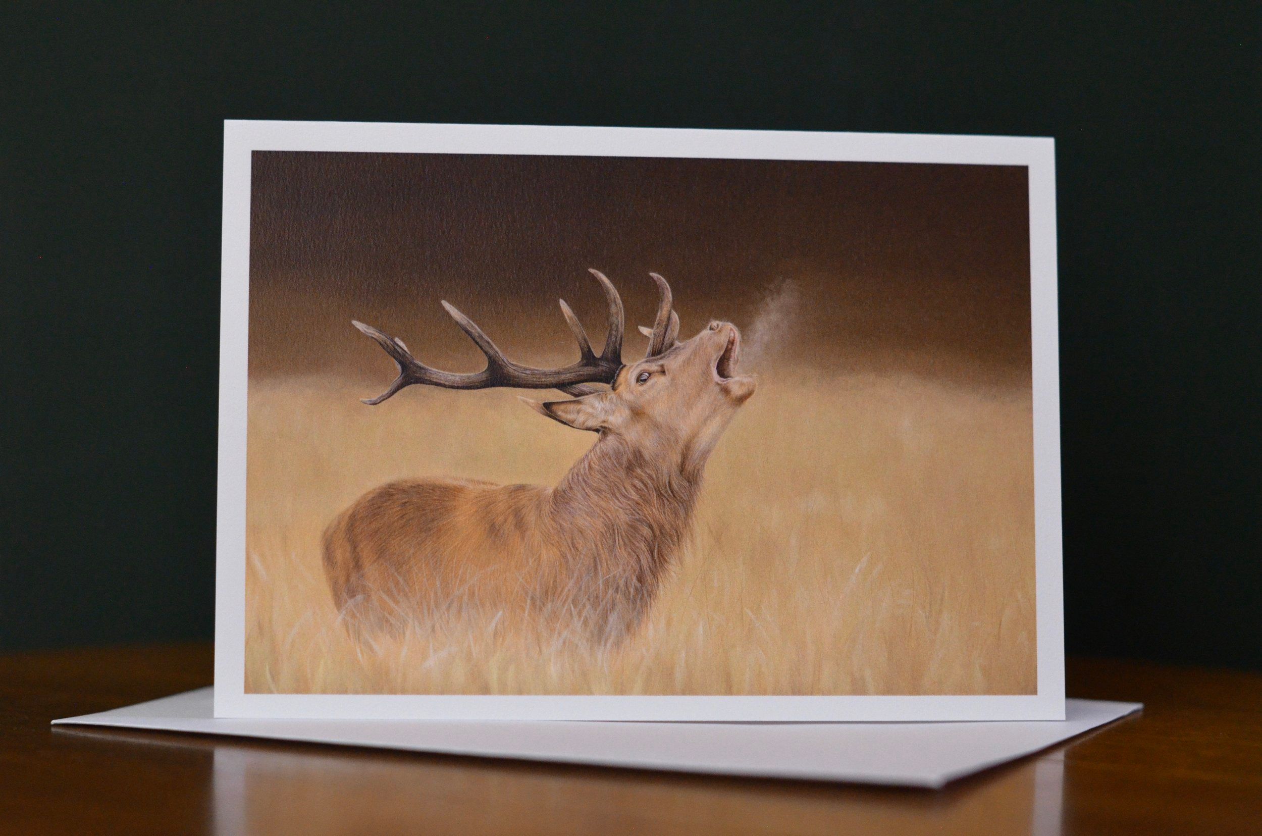 Greeting Cards