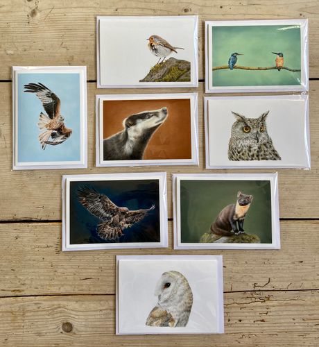 Greeting Cards