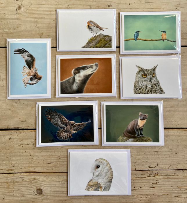 Greeting Cards
