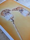 Wildlife Prints