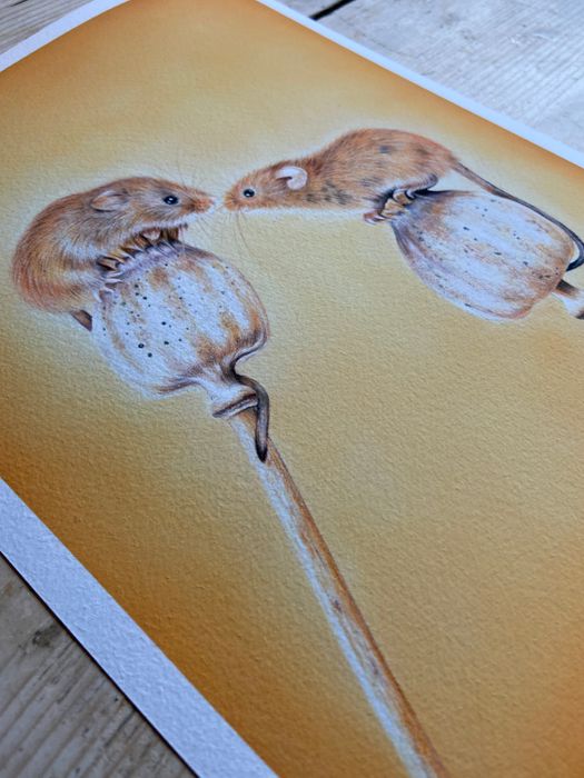 Wildlife Prints