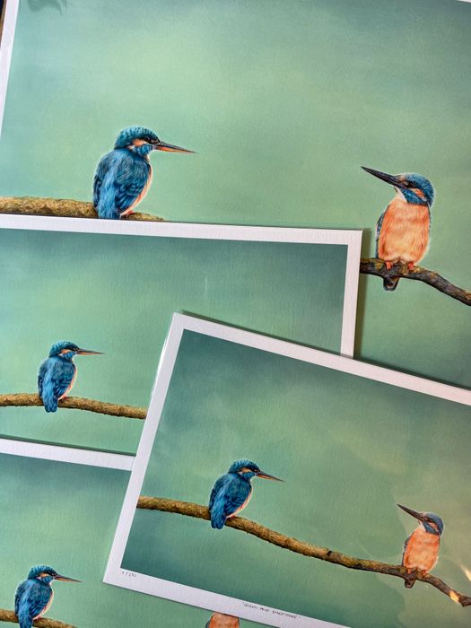 Wildlife Prints