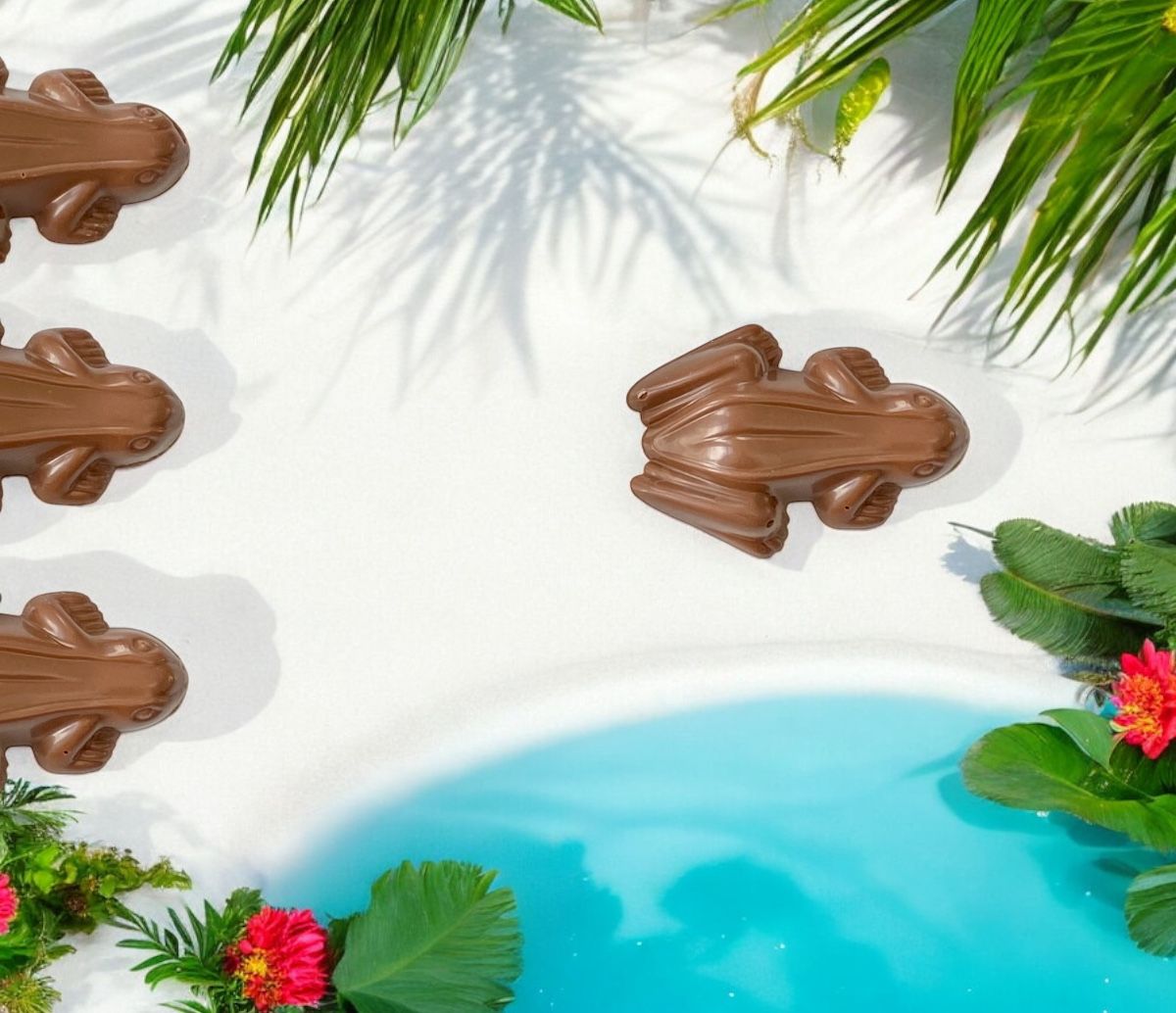Handmade Belgian Chocolates