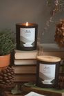 Wild Forest - Scented Candle