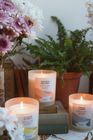 Summer Holiday - Scented Candle