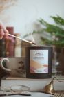 Sweet Rhubarb - Scented Candle