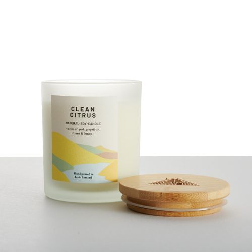 Clean Citrus - Scented Candle