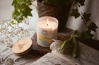 Clean Citrus - Scented Candle