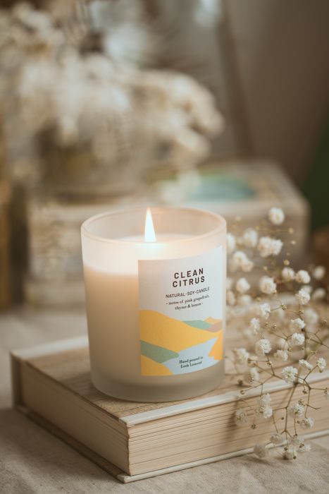 Clean Citrus - Scented Candle
