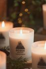 Clean Citrus - Scented Candle