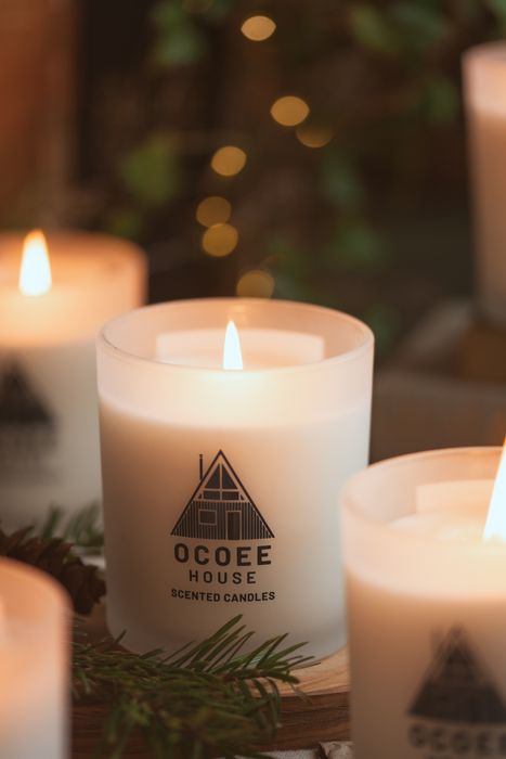 Clean Citrus - Scented Candle