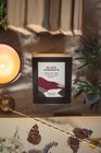 Black Currants - Scented Candle