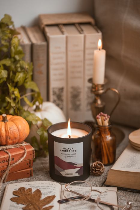 Black Currants - Scented Candle