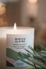 Winter Alpine - Scented Candle